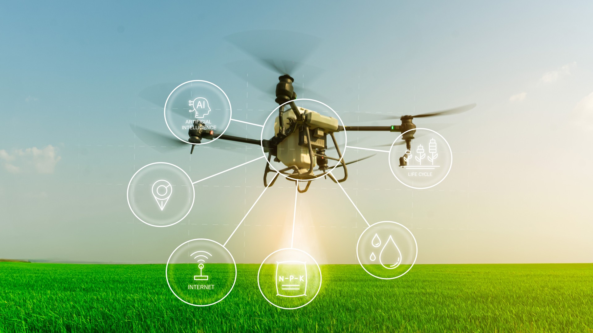 Agriculture drone fly to sprayed fertilizer on the fields, Smart farm 4.0 concept, artificial intelligence combine deep, machine learning, digital twin, 5G, industry 4.0 technology to improve